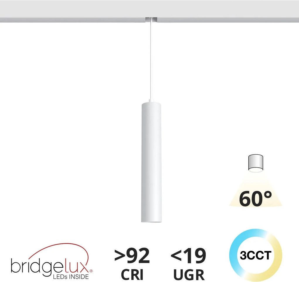 Lampada a Sospensione 10W Magnetica CCT CRI92 Bianca Colore Bianco Variabile CCT