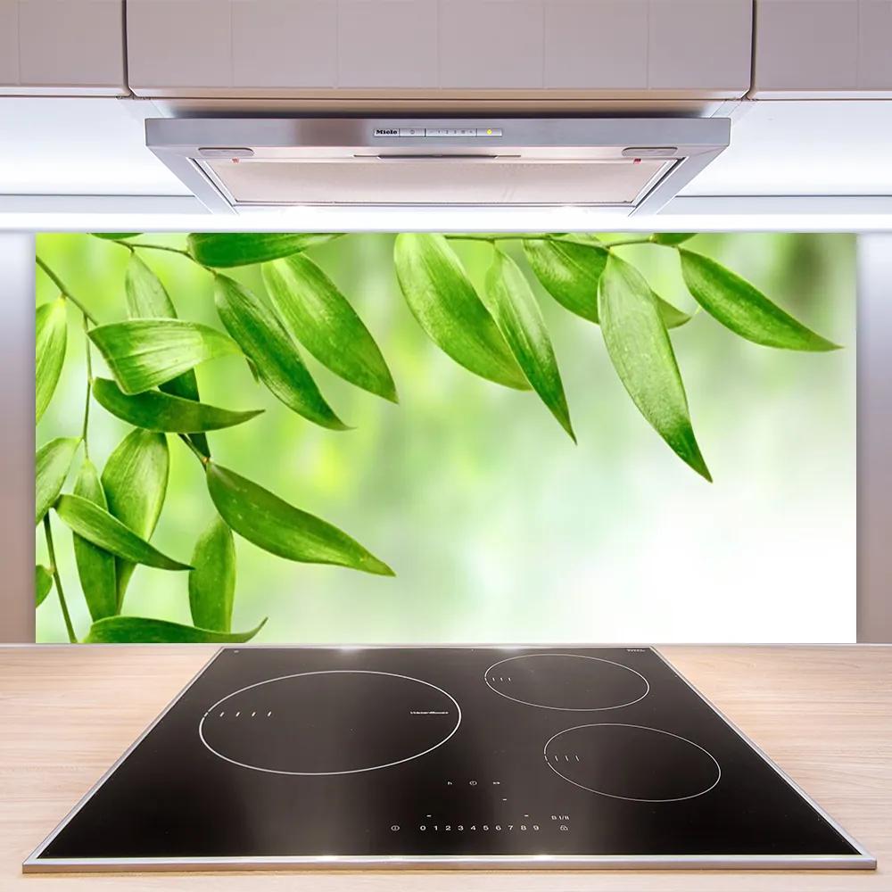 Pannello cucina paraschizzi Foglie verdi della natura 100x50 cm