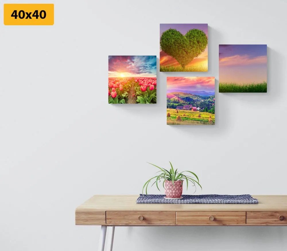 Set di quadri – Natura in colori pastello