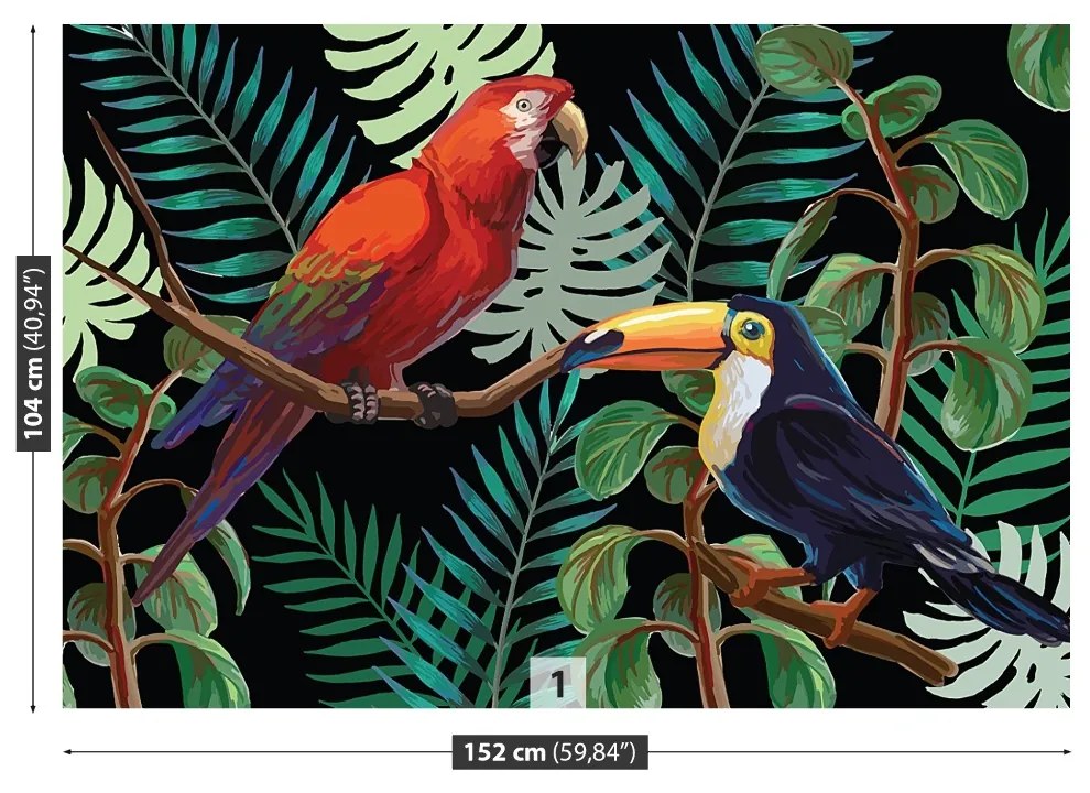 Carta da parati Ara toucan 104x70 cm