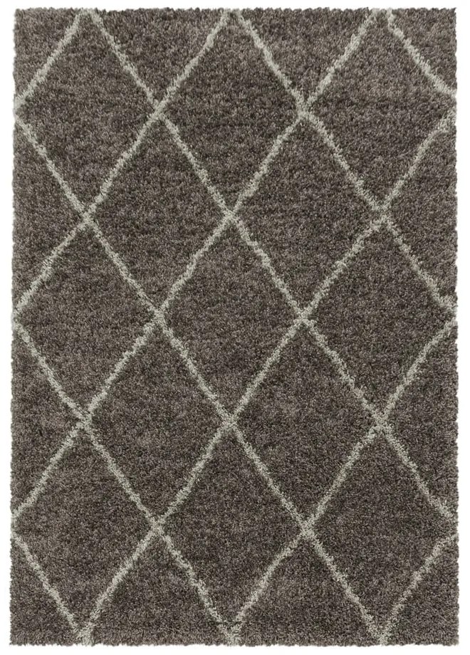 Tappeto marrone 120x170 cm Alvor - Ayyildiz Carpets