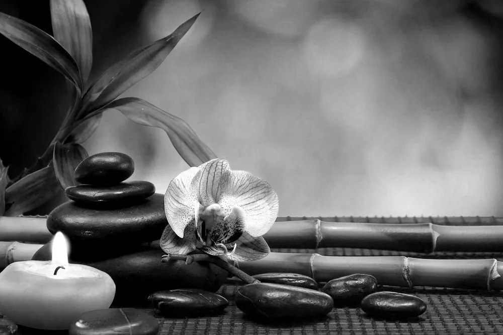 Stampa su tela – Armonia Feng Shui in bianco e nero
