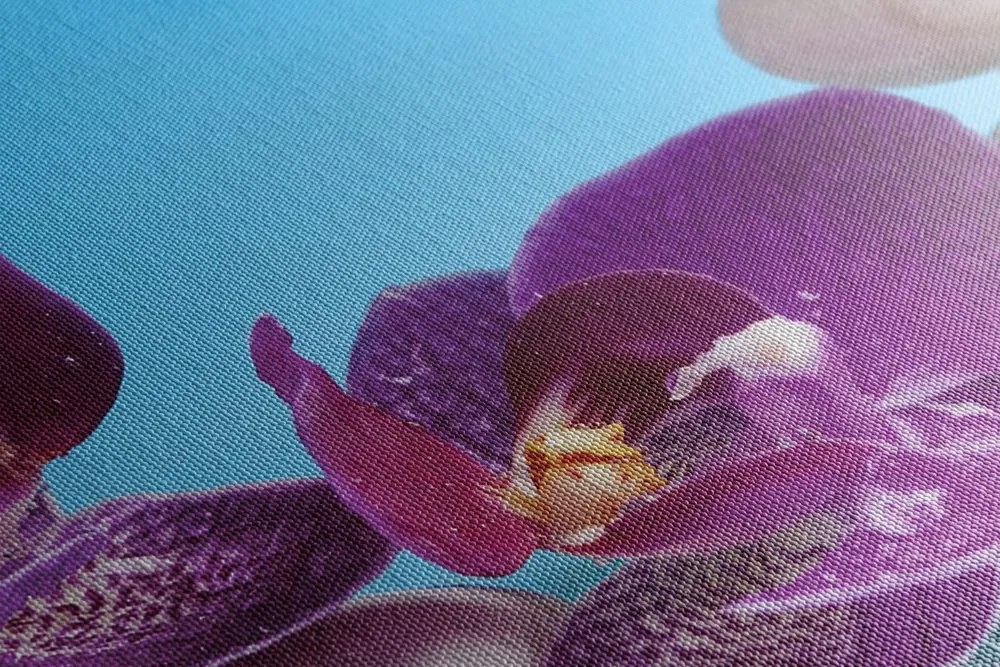 Quadro su tela – Natura morta per il benessere
