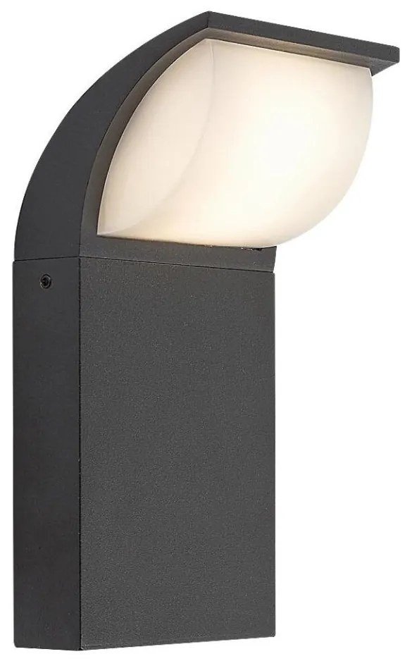 Rabalux 7166 - Lampada da parete esterna HONGKONG LED 9W 230V IP65