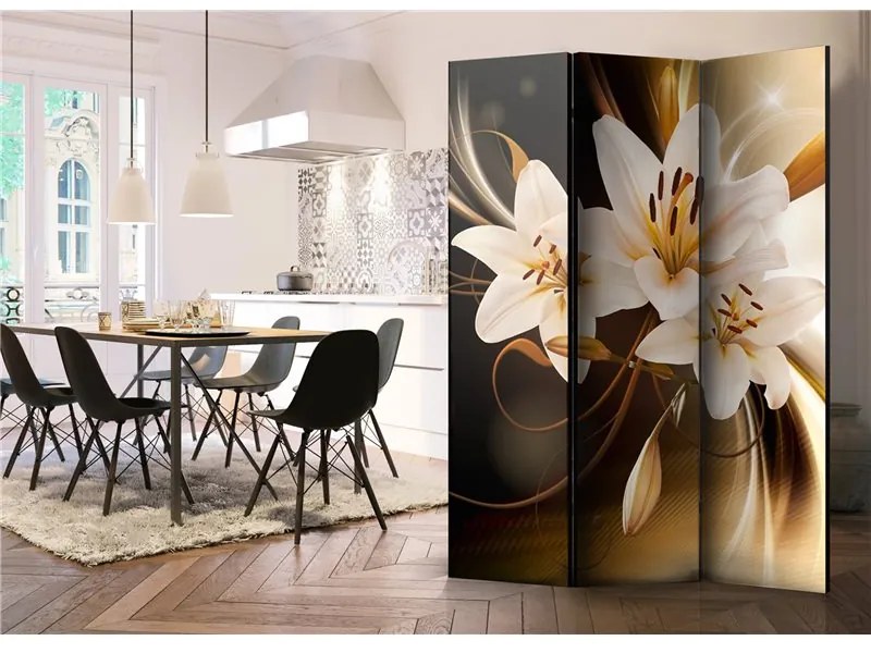 Paravento  Circle of Light [Room Dividers]  Colore Marrone, Dimensioni e Misure 135x172