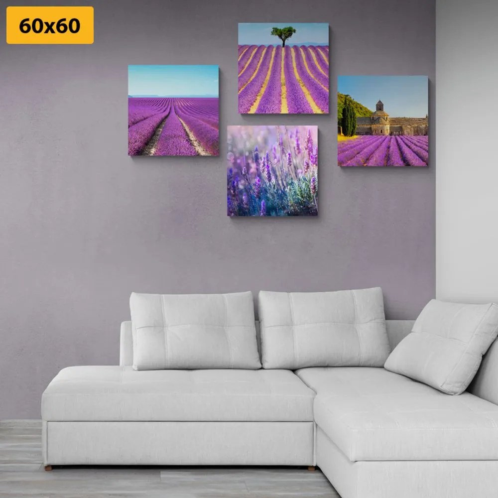 Set di quadri – Campo di lavanda