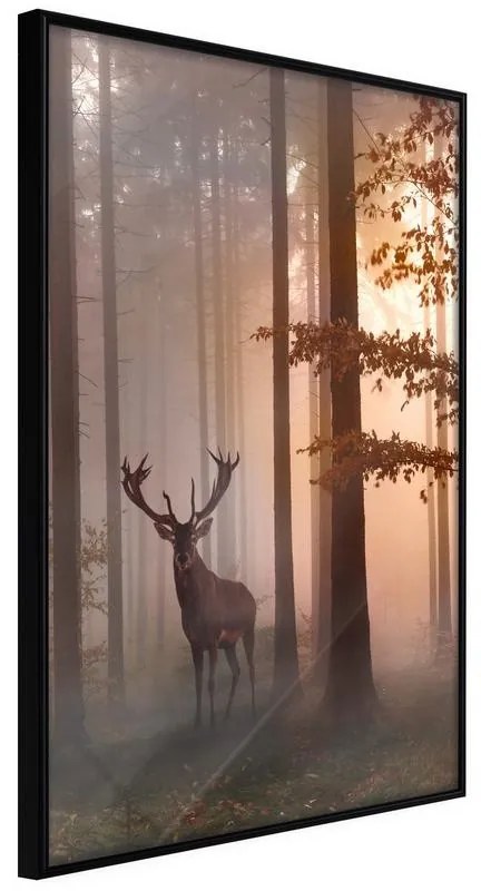 Poster Forest Seclusion