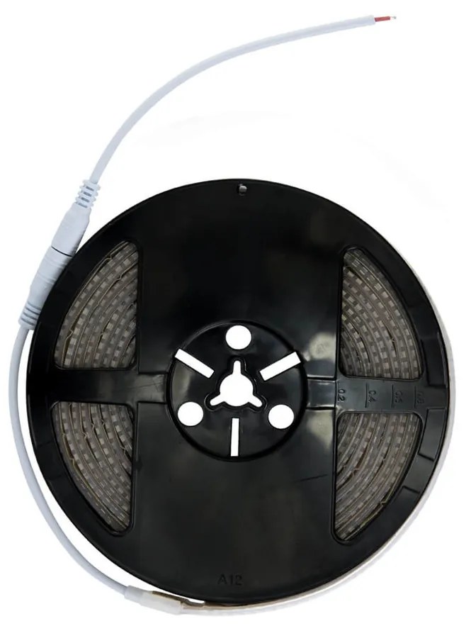 Striscia LED Professional 2835/224 - IP67 - 25W/m - 2.900lm/m- 5m - 24V Colore Bianco Caldo 2.700K