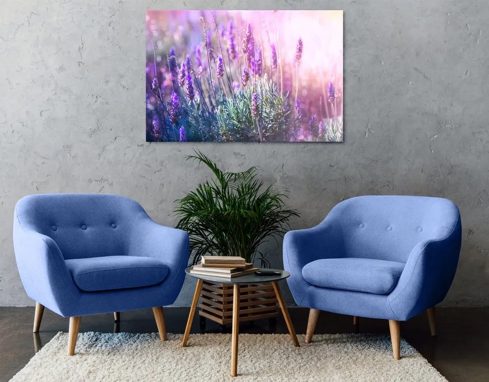 Quadro su tela – Fiori magici di lavanda