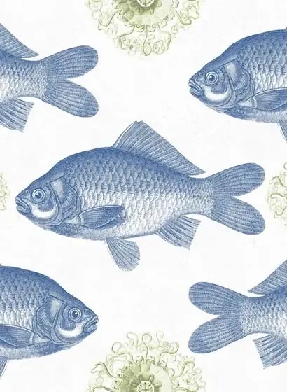 Mindthegap Carta da parati Fish - WP20009