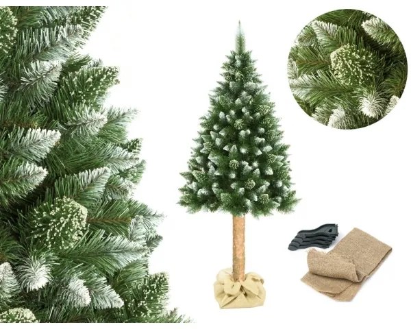 Albero di Natale su tronco 180 cm pino