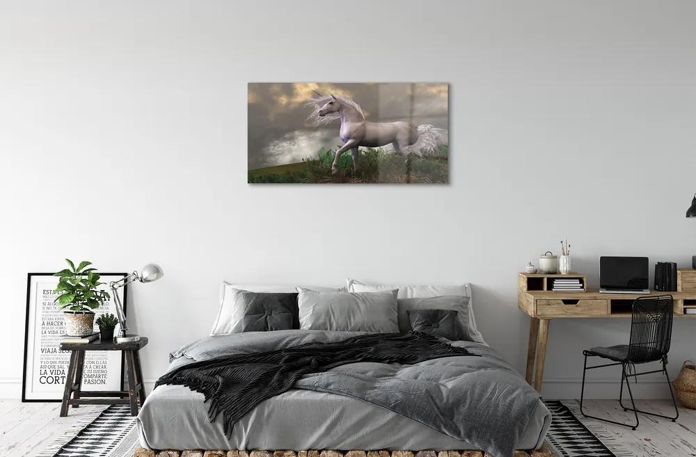Quadro su vetro acrilico Nuvole di unicorno 100x50 cm