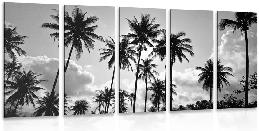 Quadri 5 pezzi – Palme da cocco sulla spiaggia in bianco e nero