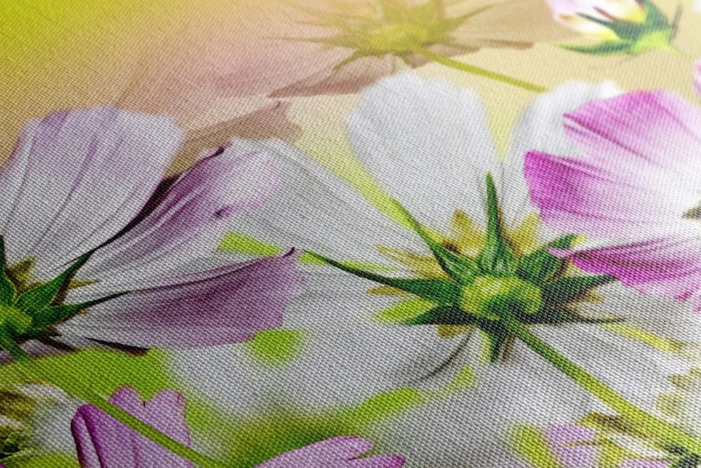 Quadro su tela – Fiori estivi