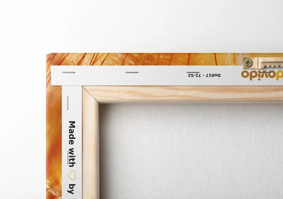 Quadro su tela – Soffione in splendida esecuzione