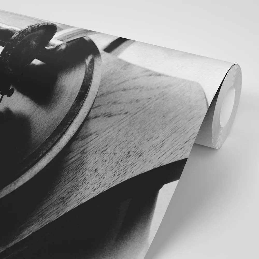 Carta da parati – Grammofono antico bianco e nero