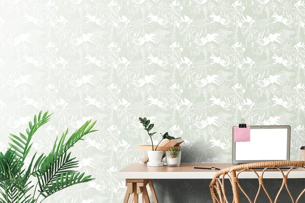 Carta da parati – Monstera insolita