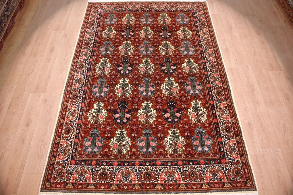 Bakhtiar Tappeto persiano 210x320 (Iran) Annodato A Mano