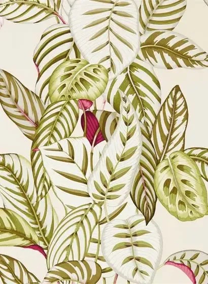 Sanderson Carta da parati Calathea - Olive