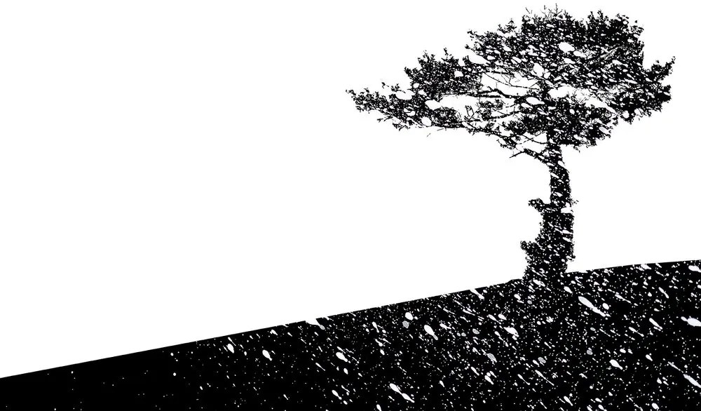 Carta da parati – Silhouette dell'albero
