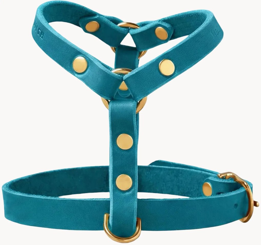 Imbracatura per cani in pelle Y-Harness, varie misure