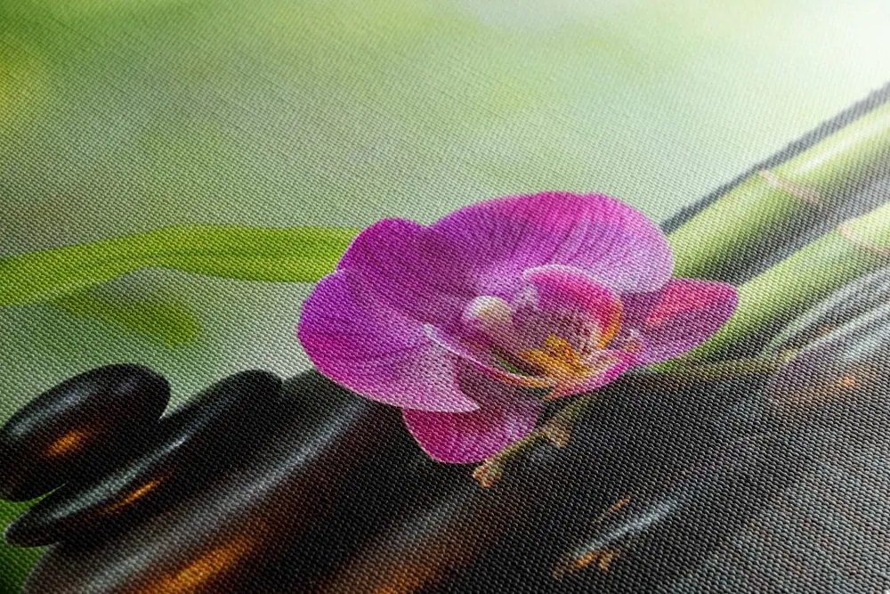 Stampa su tela – Natura morta Feng Shui