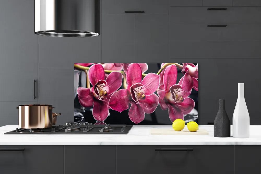 Pannello schienali cucina Fiori, orchidea, natura 100x50 cm
