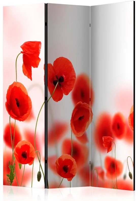 Paravento  Sleepy poppy's land [Room Dividers]  Colore Bianco, Dimensioni e Misure 135x172