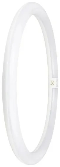 Tubo fluorescente LED G10q/24W/230V 4000K - Osram