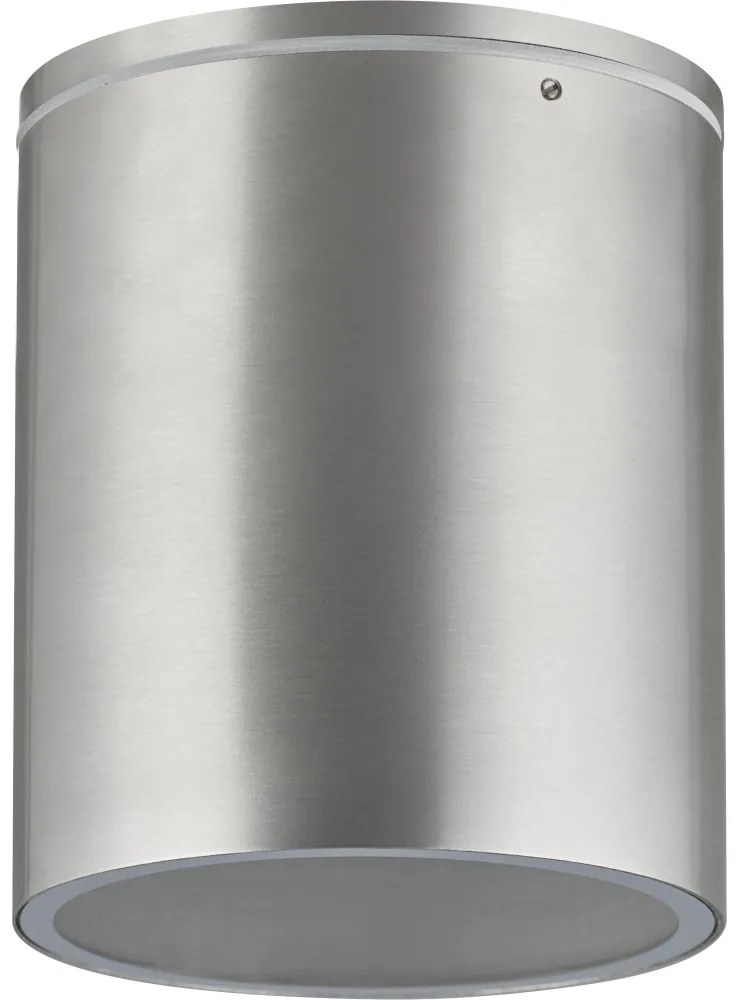 Applique da soffitto Cilindrica PAR30 IP54 in Alluminio e Vetro, INOX Colore del corpo Inox
