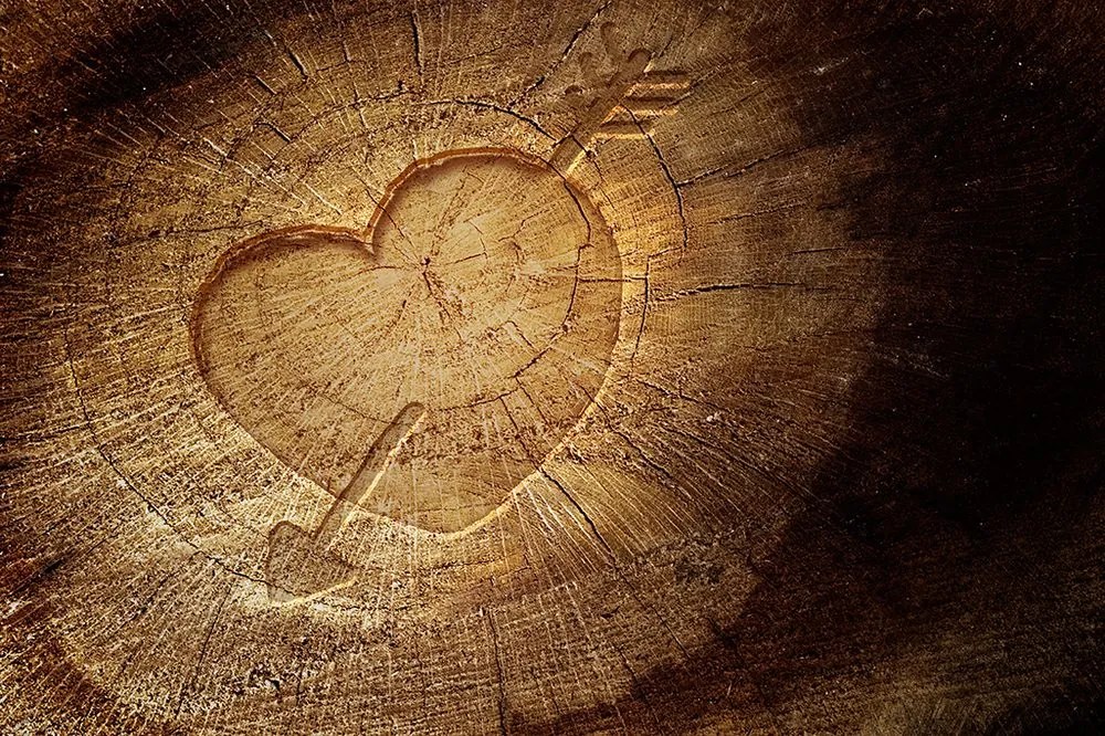 Carta da parati – Cuore intagliato sul ceppo