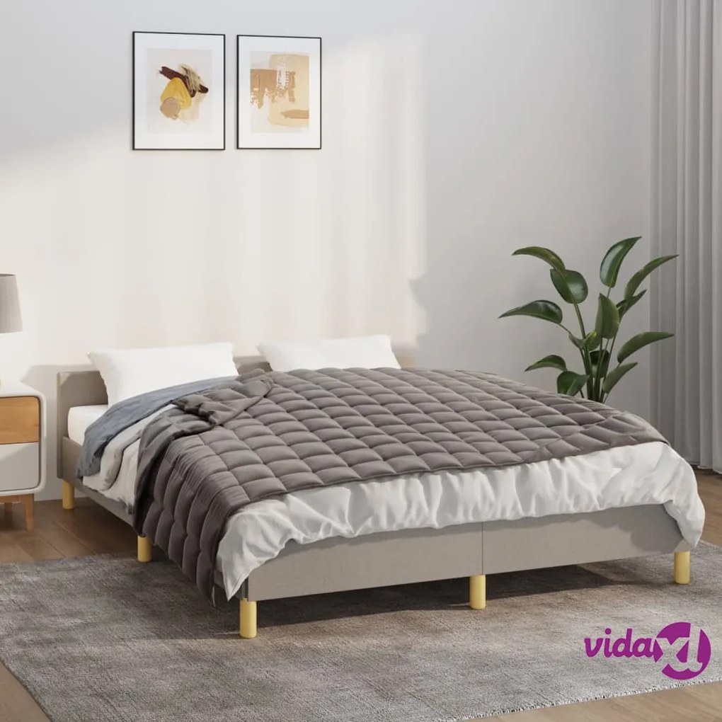 vidaXL Coperta Ponderata Grigia 120 x 180 cm 5 kg Tessuto