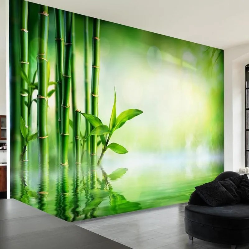 Fotomurale adesivo  Bamboo Grove  Larghezza x Altezza Home decor 294x210