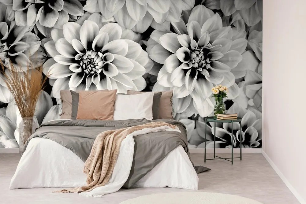 Carta da parati – Fiori di dalia in bianco e nero