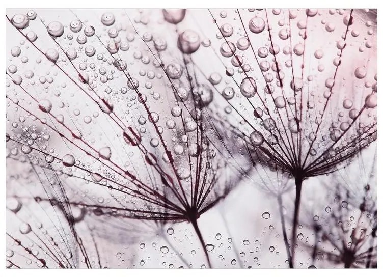 Fotomurale adesivo  Rainy Time  Larghezza x Altezza Home decor 147x105