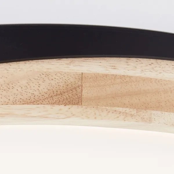 Brilliant - Plafoniera LED dimmerabile BAARLO LED/24W/230V diametro 35 cm nero