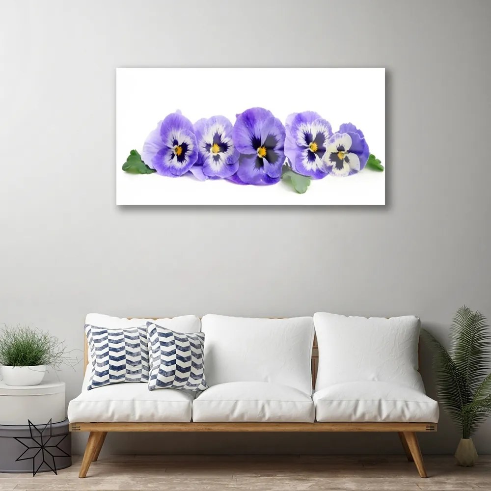 Quadro in vetro Petali di fiori marmocchi 100x50 cm 2 appendini