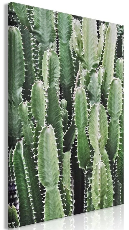 Quadro Cactus Garden (1 Part) Vertical  Colore Bianco, Dimensioni e Misure 60x90