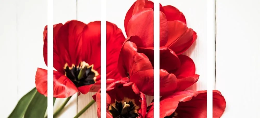 Quadri 5 pezzi – Tulipani rossi in fiore