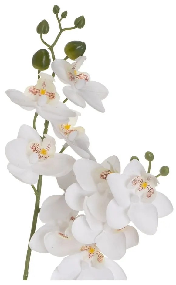 Fiore artificiale (altezza 39 cm) Orchid - Casa Selección