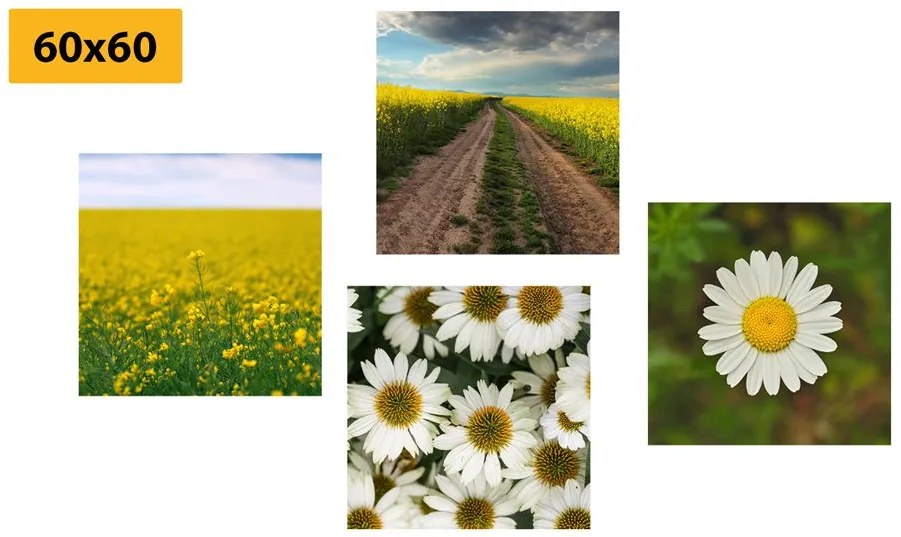 Set di quadri – Prato pieno di fiori