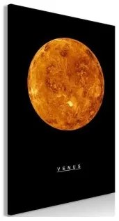 Quadro  Venus (1 Part) Vertical Standard 60x90
