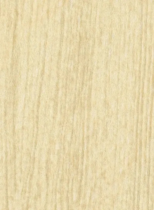 Élitis Carta da parati Gouge - VP 936 20