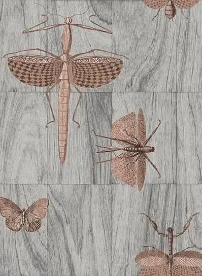 Arte International Carta da parati Wings - 42000
