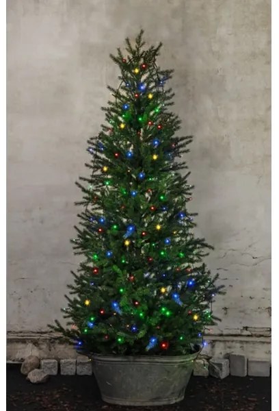 Eglo 410719 - Catena natalizia LED da esterno SERIE LED 160xLED 2m IP44 multicolore