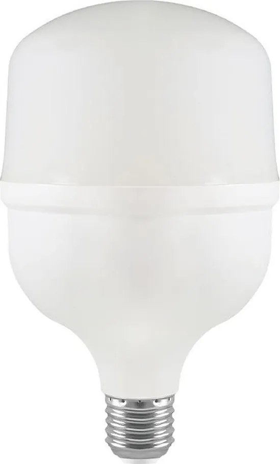 Lampadina LED T100 E27/30W/230V 6500K