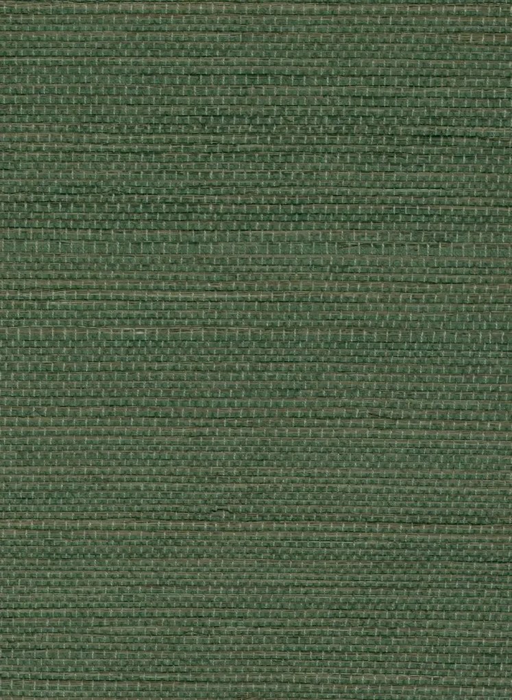 Élitis Tapete Sisal - RM 1069 62