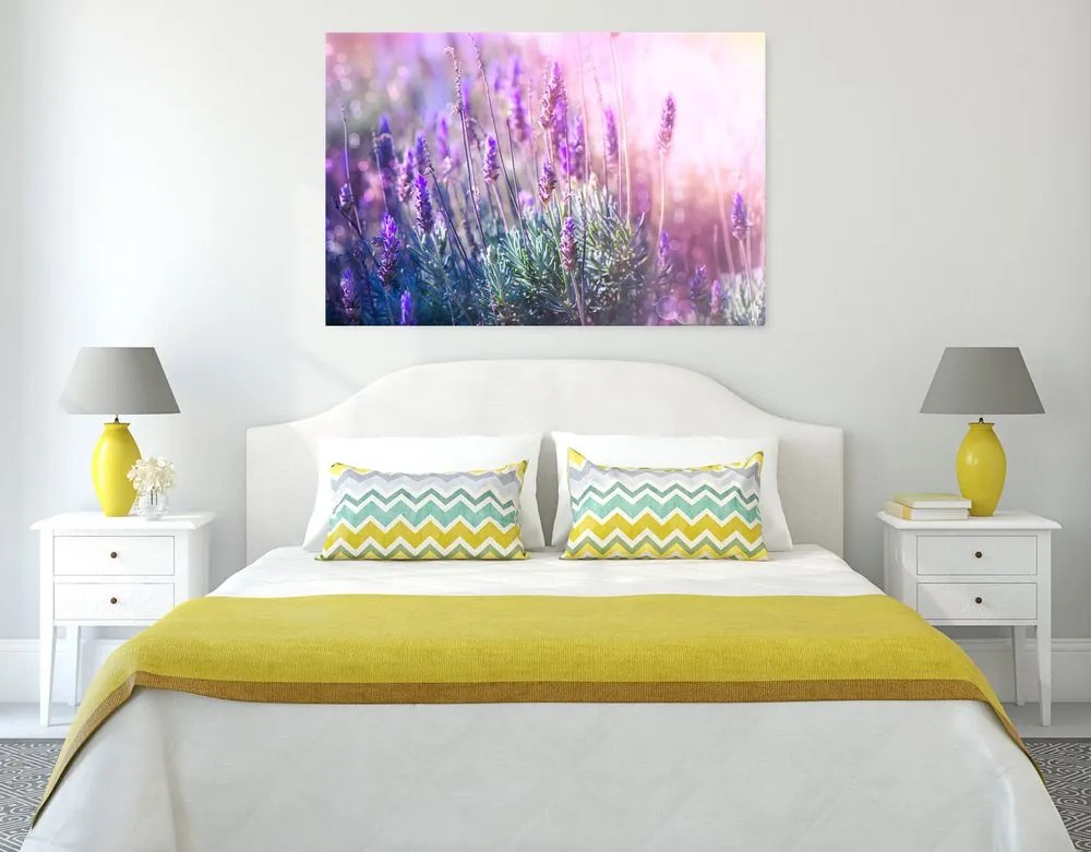 Quadro su tela – Fiori magici di lavanda