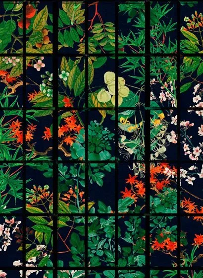 Mindthegap Carta da parati Japanese Garden - Night