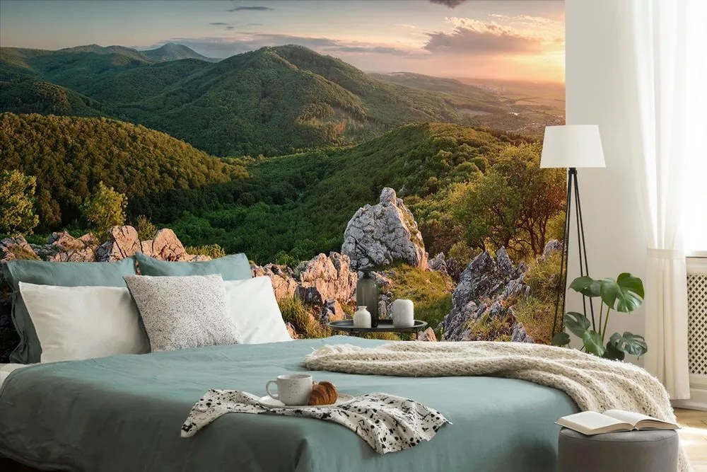 Carta da parati – Natura illuminata dal sole
